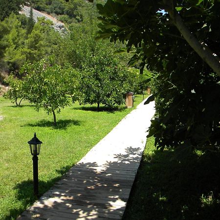 Azra Villas Çıralı Rom bilde