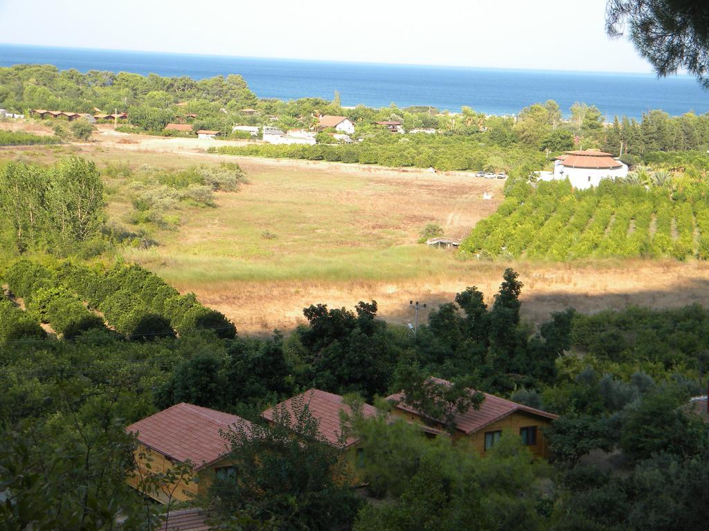 Azra Villas Çıralı Rom bilde