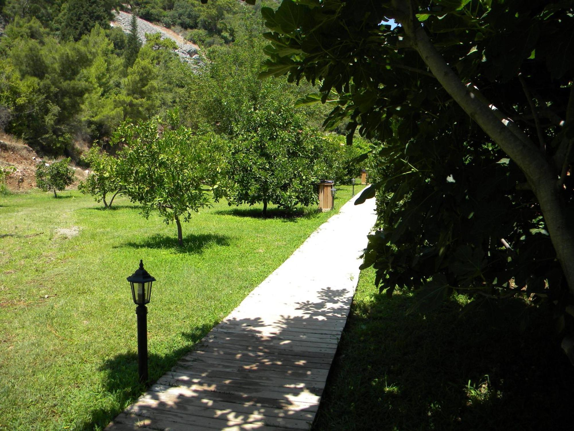 Azra Villas Çıralı Rom bilde