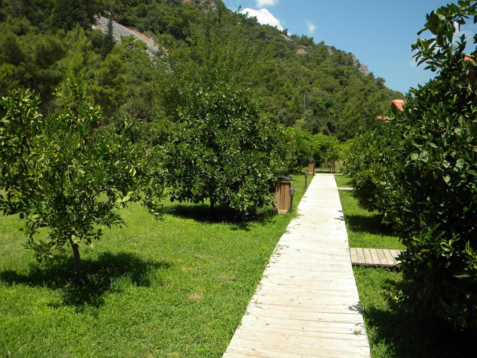 Azra Villas Çıralı Rom bilde